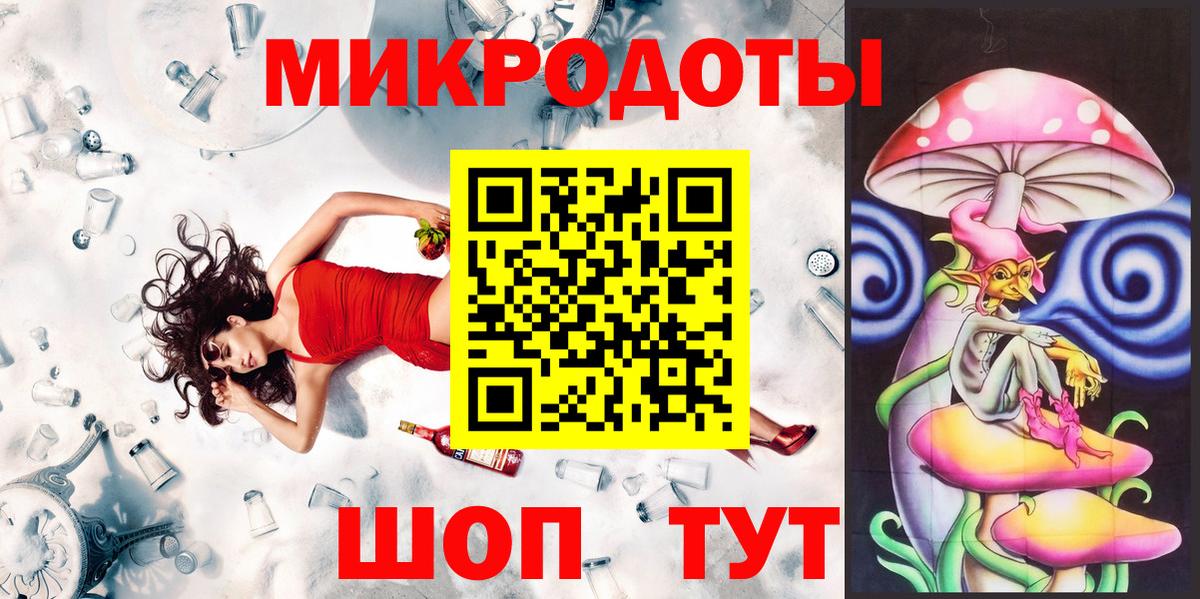 Псилоцибиновые грибы Psilocybe Кирово-Чепецк
