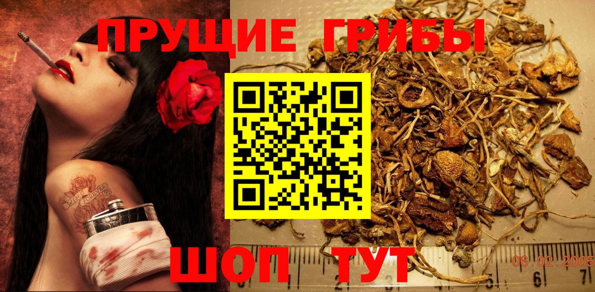 Псилоцибиновые грибы ЛСД  Галлюциногенные грибы мицелий  Кирово-Чепецк  Вход с VPN 